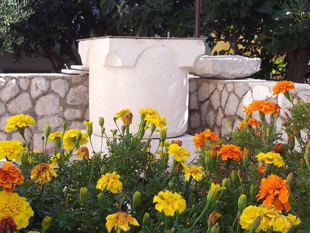 Apartments Franjo Mali Lošinj Dış mekan fotoğraf